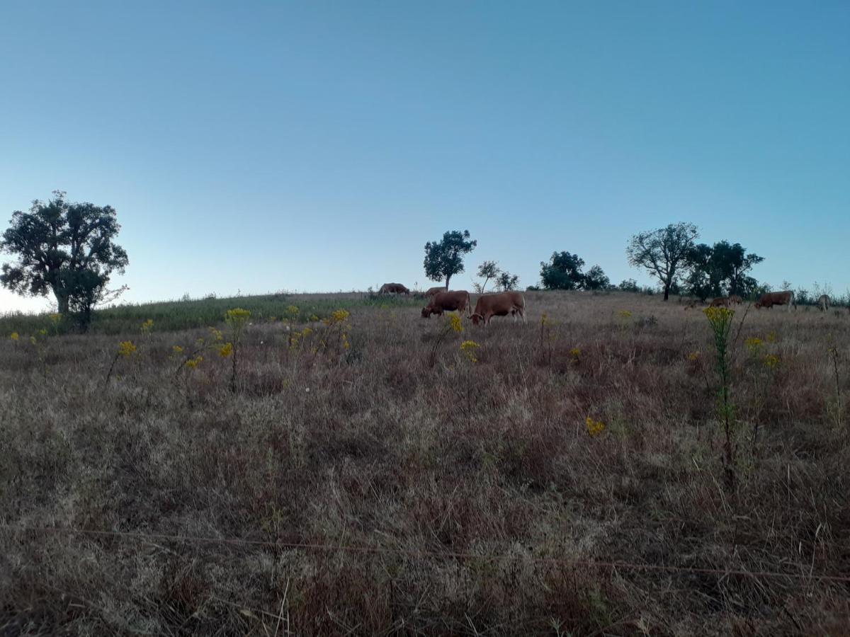 São Teotónio Monte Das Covas מראה חיצוני תמונה